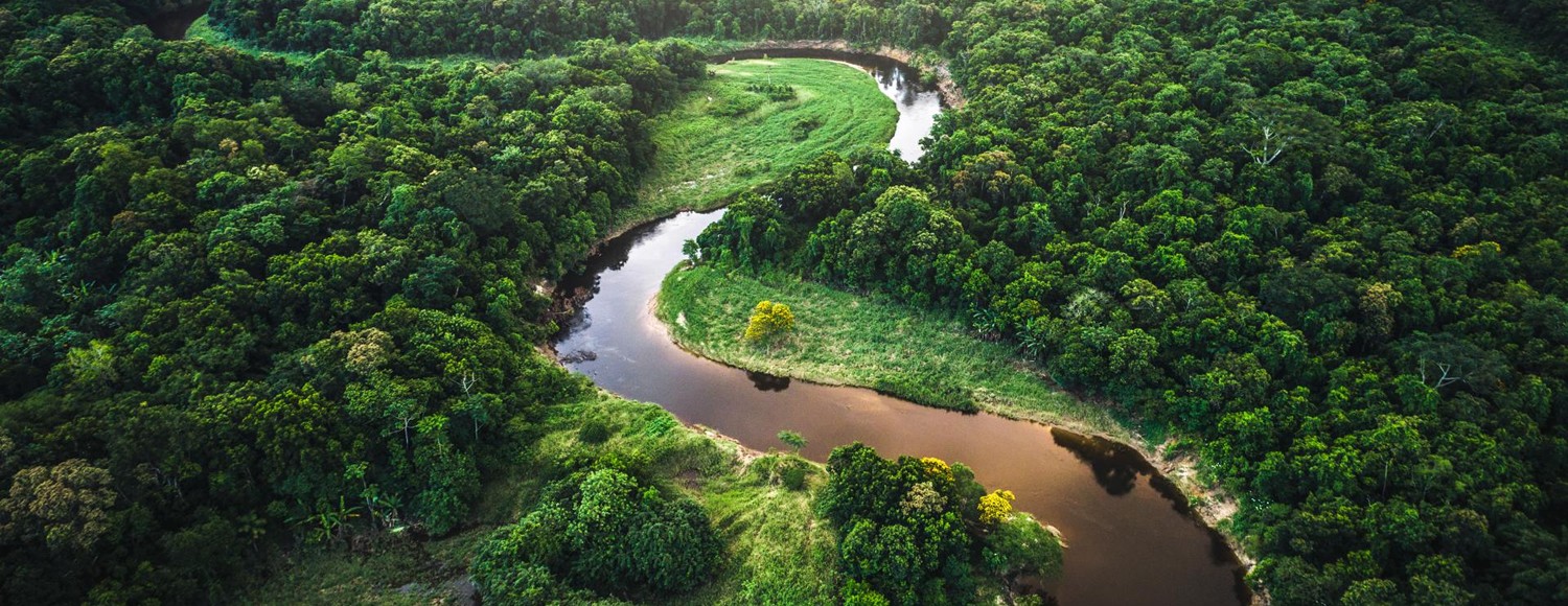 Amazonas