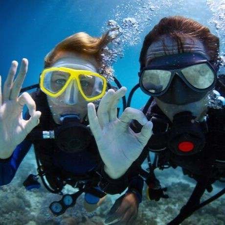 Buceo en Paracas