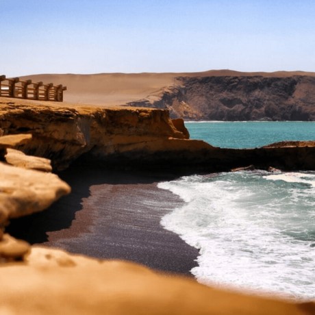 Excursión a la Reserva Nacional de Paracas