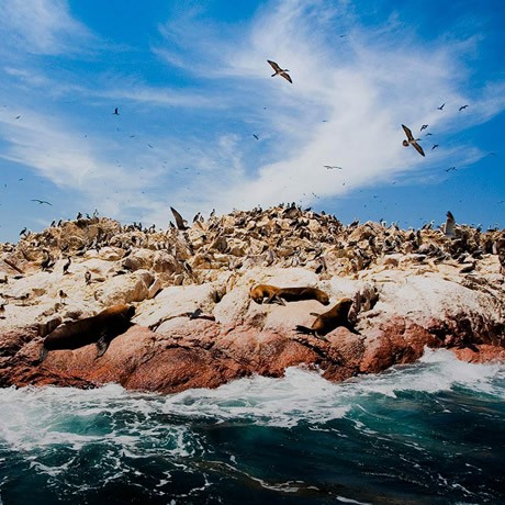 Paquete Ica - Paracas 2 días y 1 noche con Traslados desde Lima